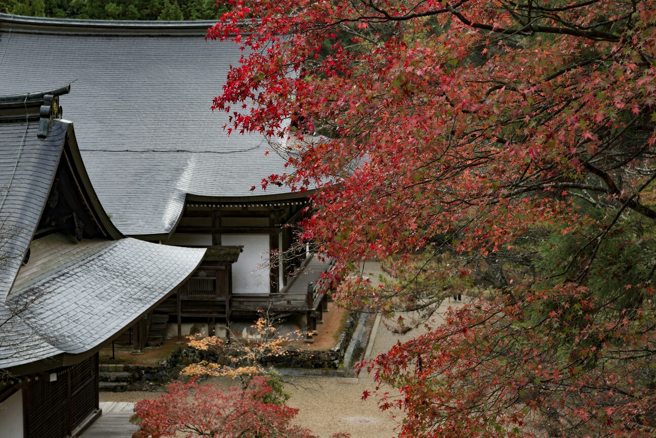 f:id:nikyon:20151118101429j:image f:id:nikyon:20151118101429j:image