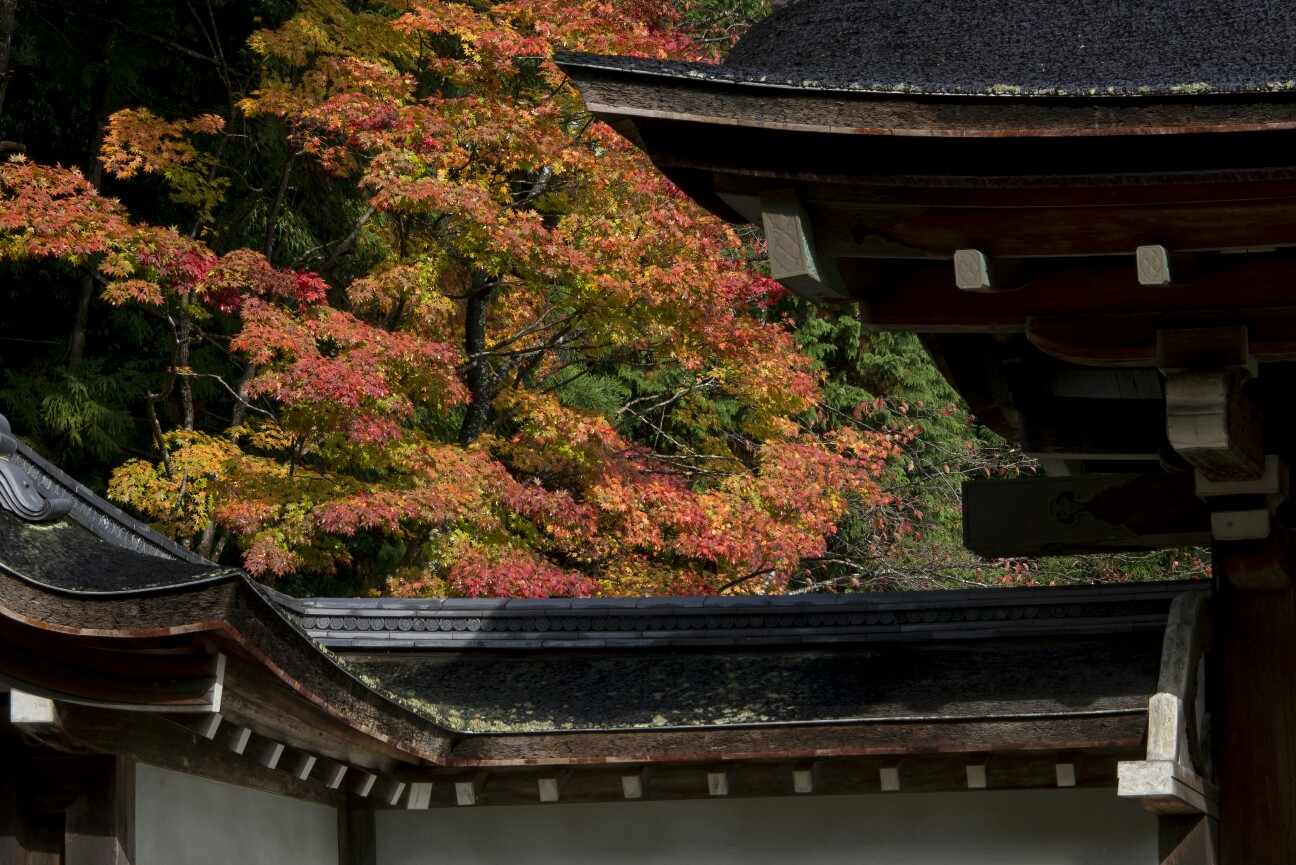 f:id:nikyon:20151118101636j:image f:id:nikyon:20151118101636j:image