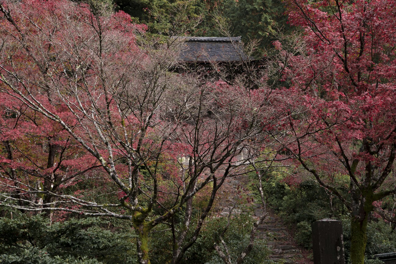 f:id:nikyon:20151118101924j:image f:id:nikyon:20151118101924j:image