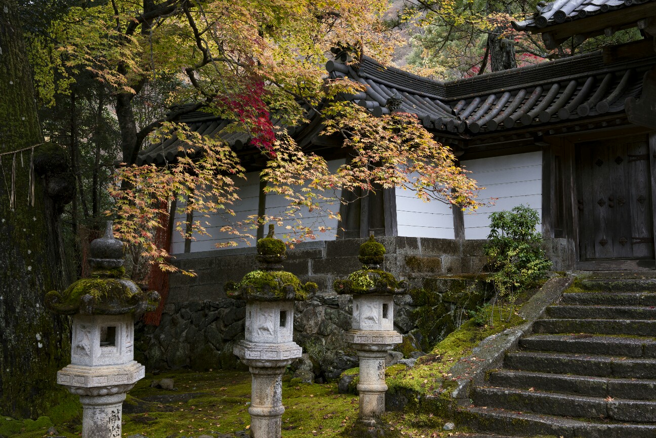 f:id:nikyon:20151118102059j:image f:id:nikyon:20151118102059j:image