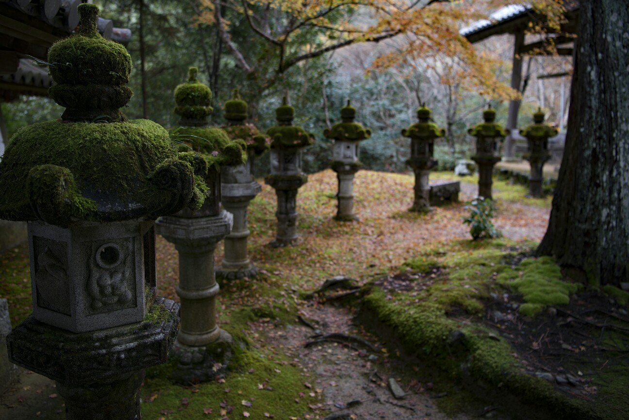 f:id:nikyon:20151118102217j:image f:id:nikyon:20151118102217j:image