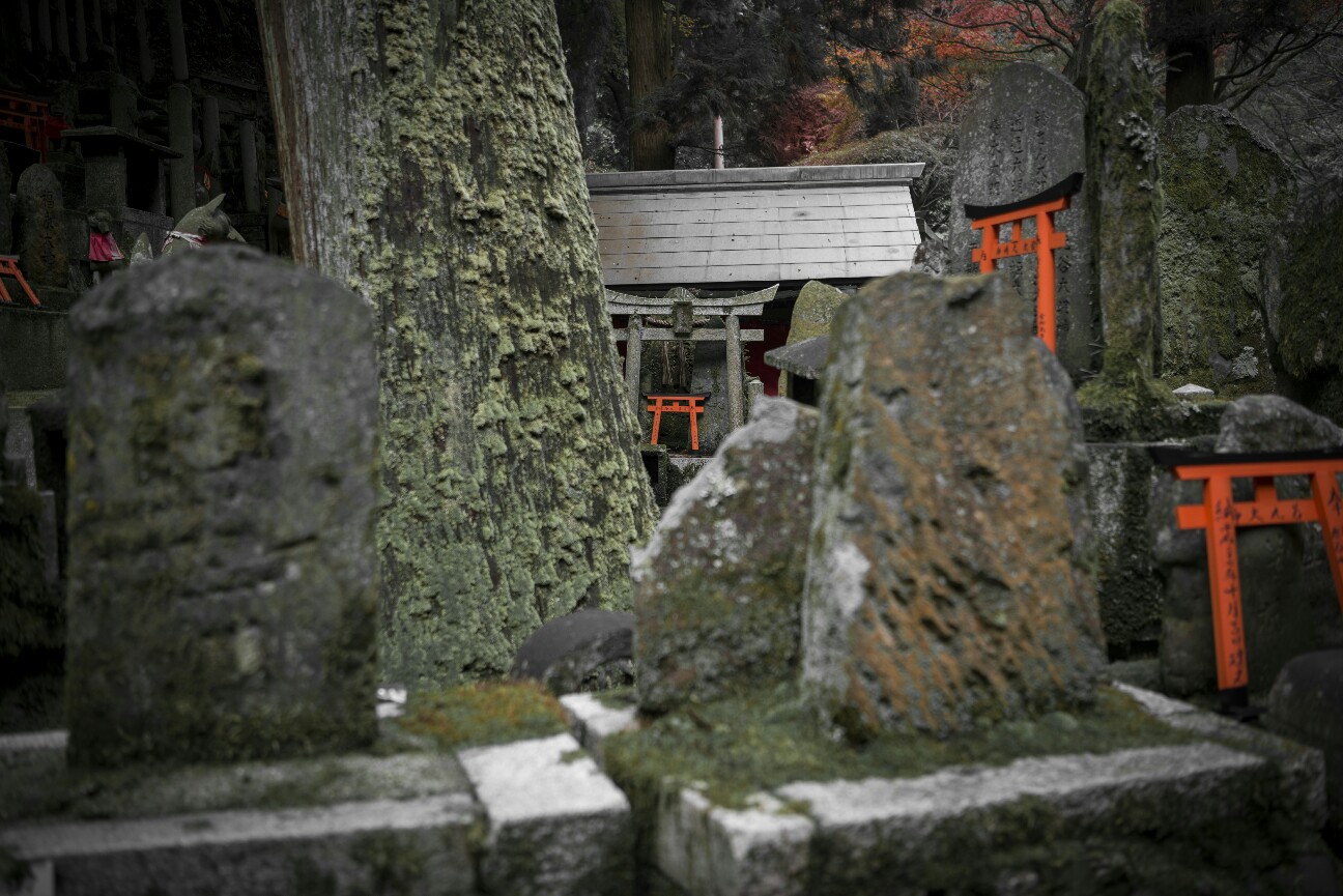 f:id:nikyon:20151201222230j:image f:id:nikyon:20151201222230j:image