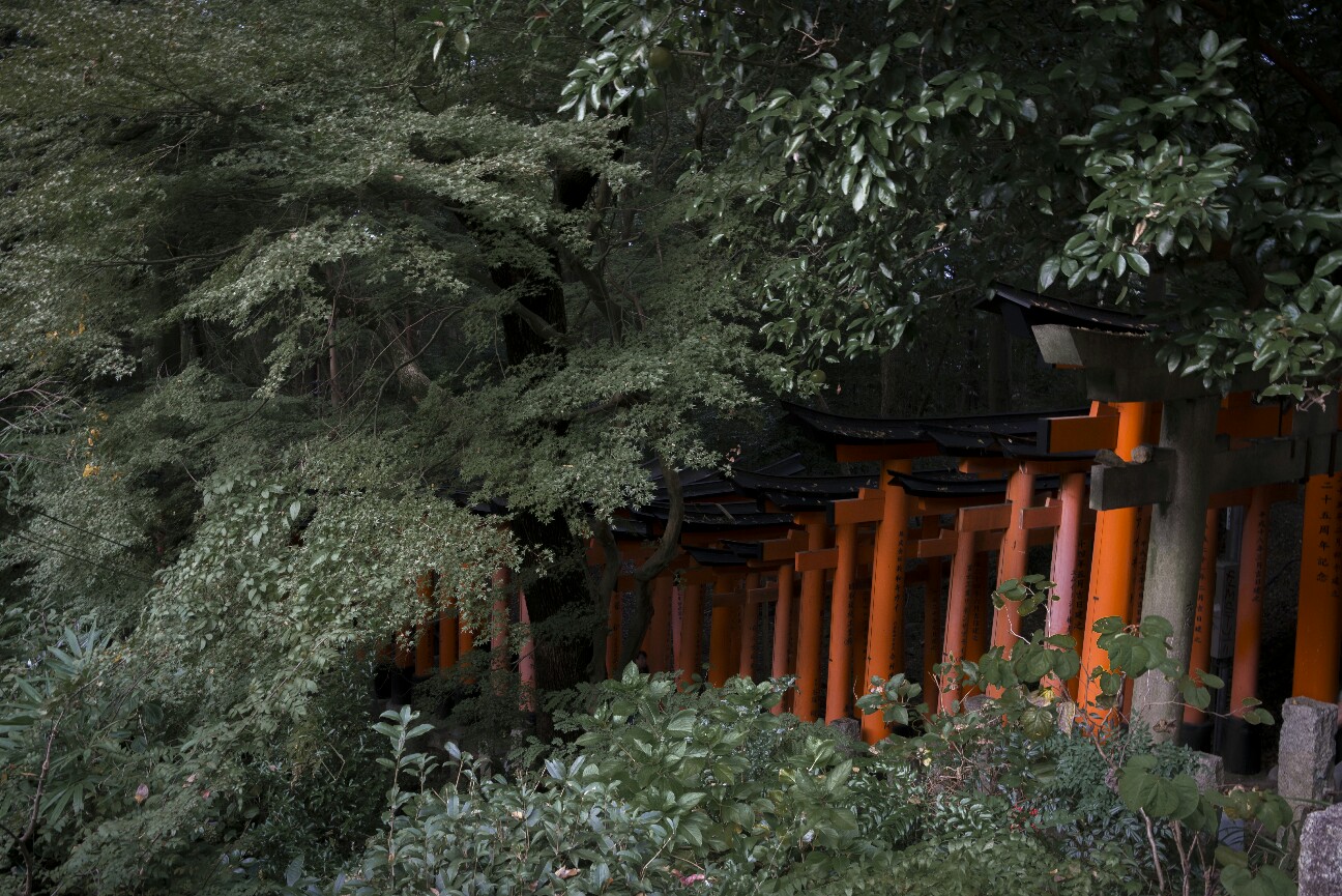 f:id:nikyon:20151201222755j:image f:id:nikyon:20151201222755j:image