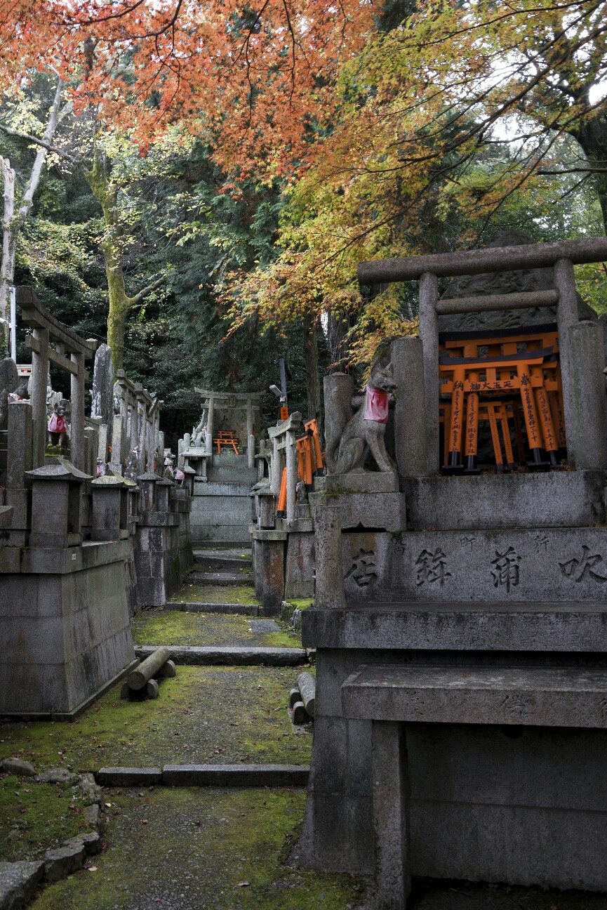 f:id:nikyon:20151201222859j:image f:id:nikyon:20151201222859j:image