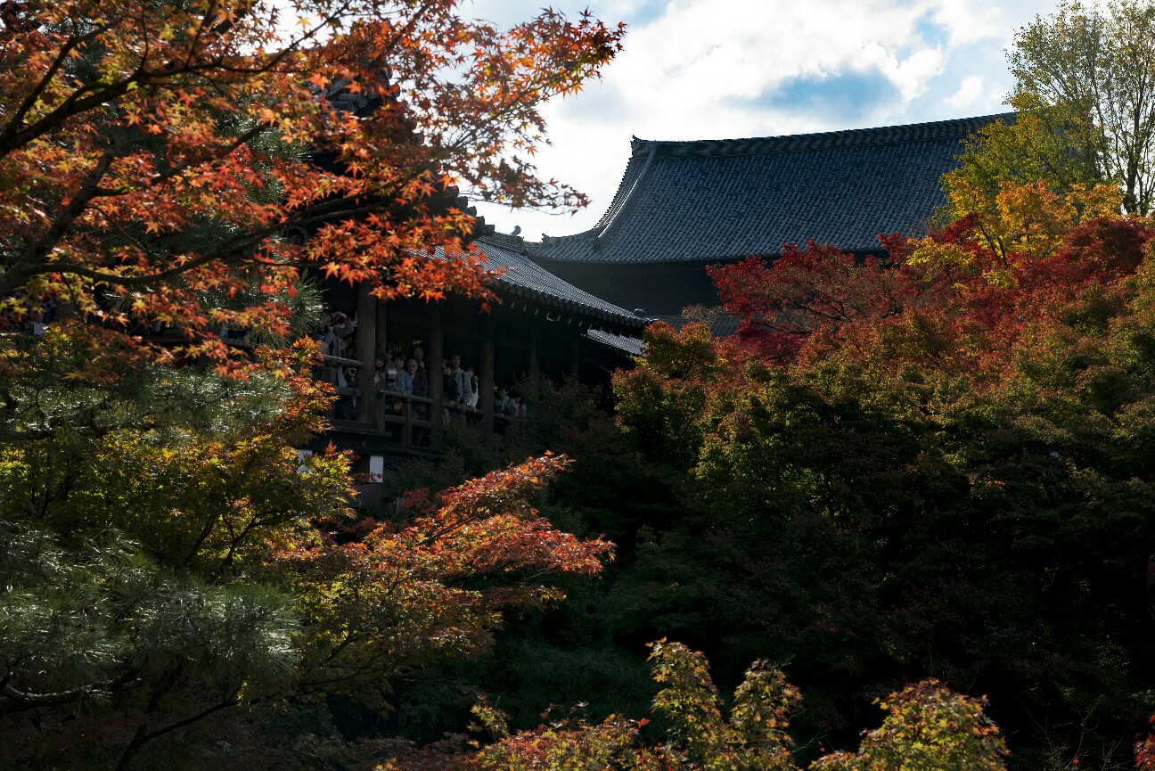f:id:nikyon:20151206094443j:image f:id:nikyon:20151206094443j:image