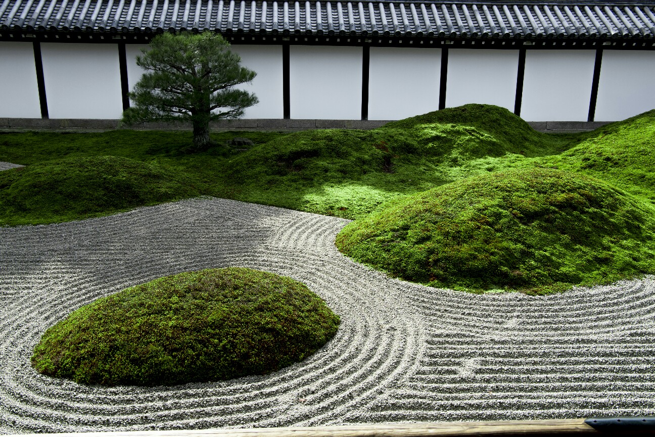 f:id:nikyon:20151206103652j:image f:id:nikyon:20151206103652j:image