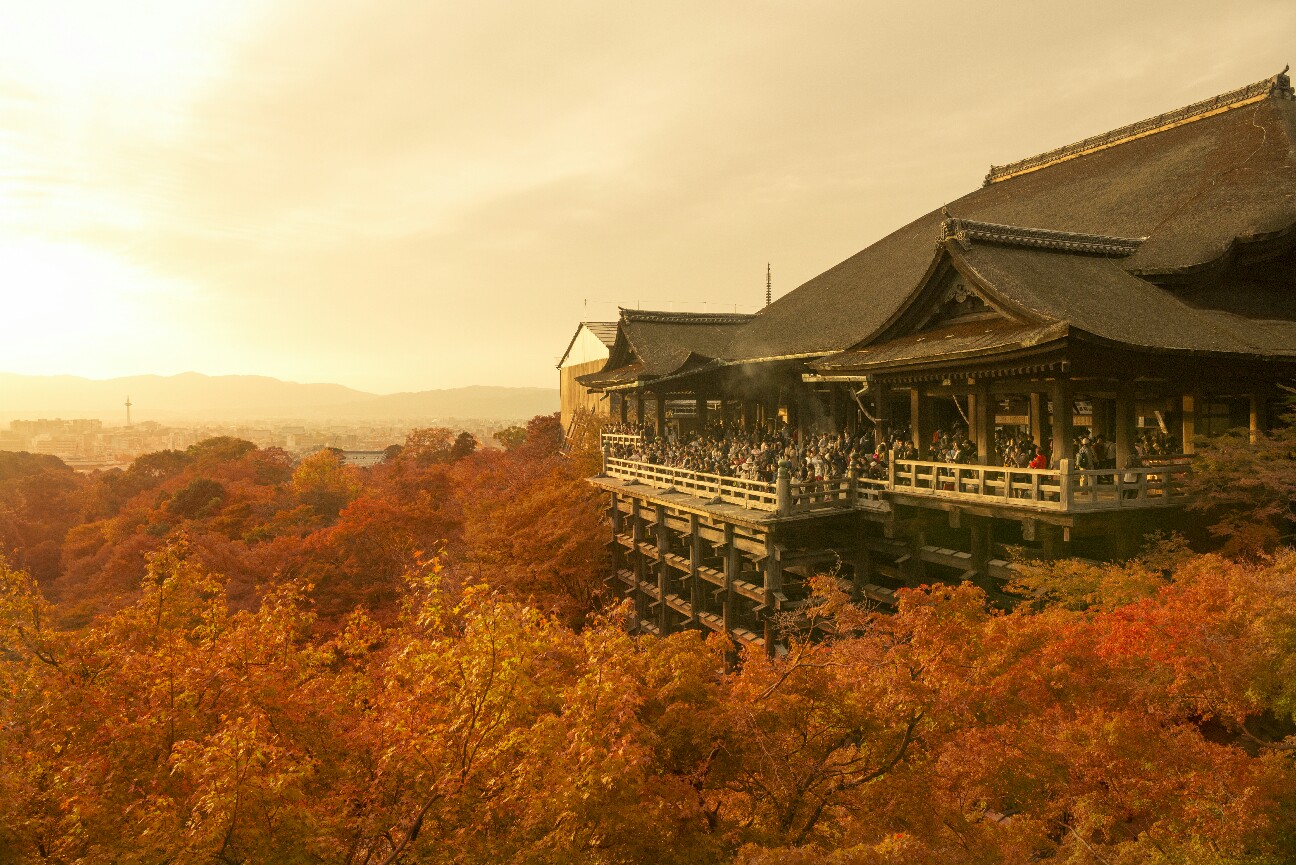 f:id:nikyon:20151208100905j:image f:id:nikyon:20151208100905j:image