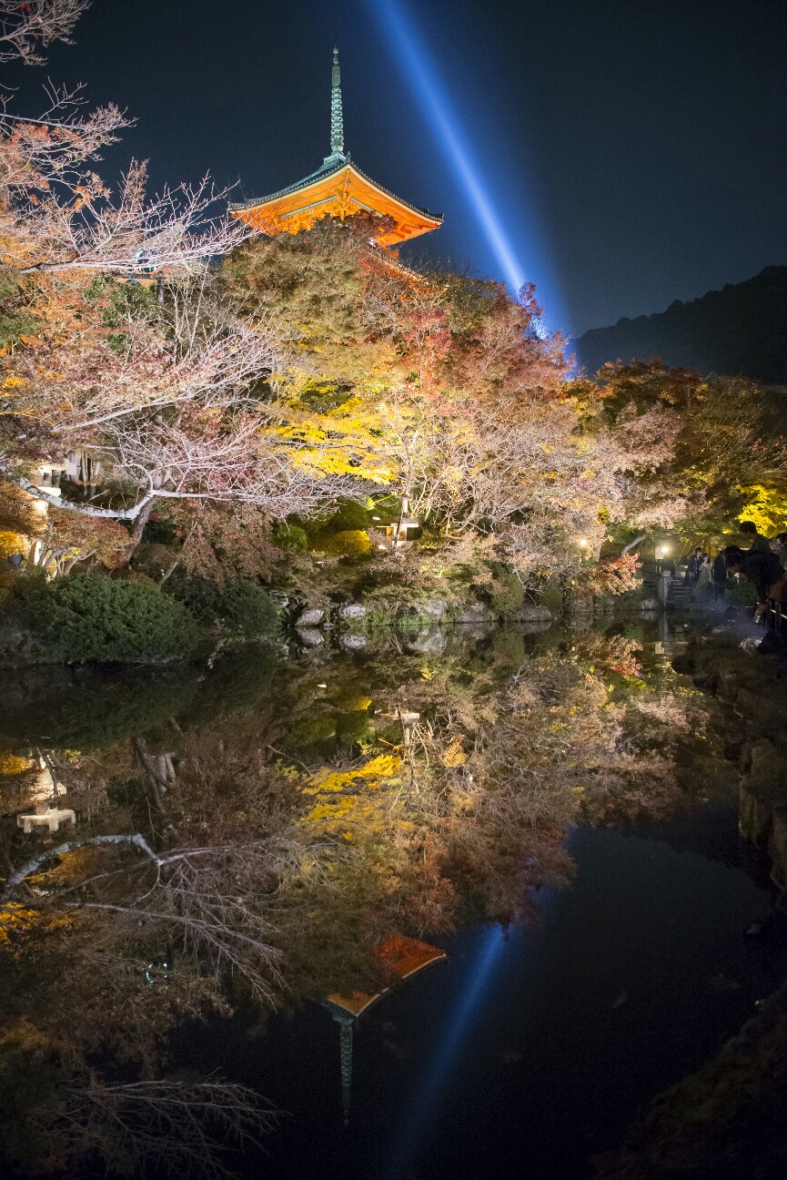 f:id:nikyon:20151208101936j:image f:id:nikyon:20151208101936j:image