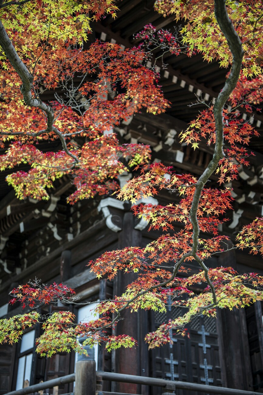 f:id:nikyon:20151208151712j:image f:id:nikyon:20151208151712j:image