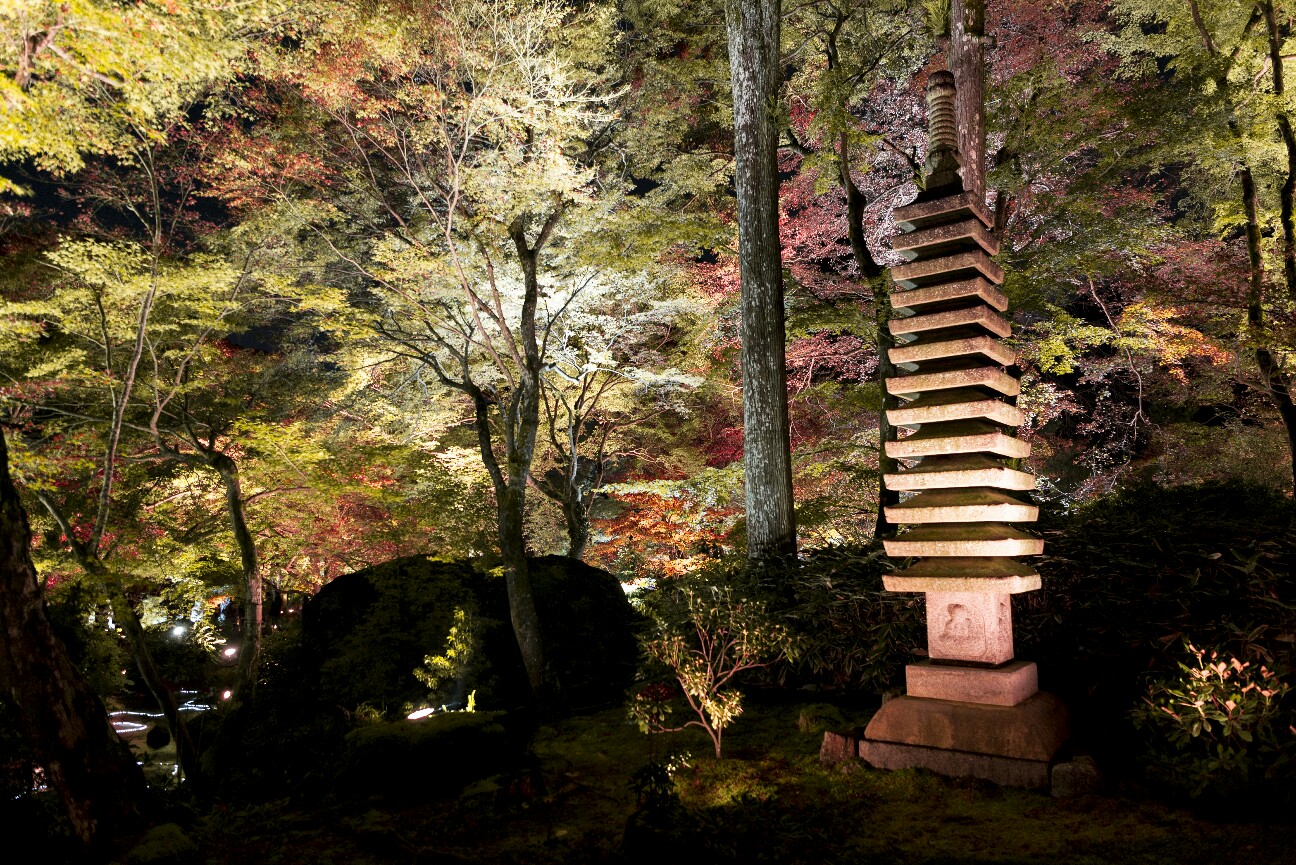 f:id:nikyon:20151208222402j:image f:id:nikyon:20151208222402j:image
