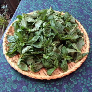 f:id:nil-cafe:20140802064515j:plain f:id:nil-cafe:20140802064515j:plain