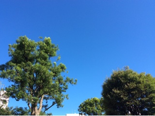 f:id:nil-cafe:20140819081314j:plain f:id:nil-cafe:20140819081314j:plain
