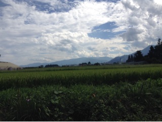 f:id:nil-cafe:20140822070635j:plain f:id:nil-cafe:20140822070635j:plain