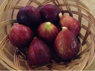 f:id:nil-cafe:20140907075253j:plain f:id:nil-cafe:20140907075253j:plain
