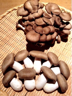 f:id:nil-cafe:20140929222743j:plain f:id:nil-cafe:20140929222743j:plain