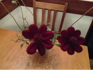 f:id:nil-cafe:20141026212736j:plain f:id:nil-cafe:20141026212736j:plain