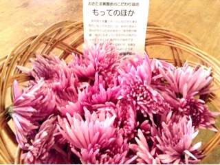 f:id:nil-cafe:20141027215853j:plain f:id:nil-cafe:20141027215853j:plain