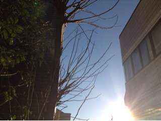 f:id:nil-cafe:20150202073436j:plain f:id:nil-cafe:20150202073436j:plain