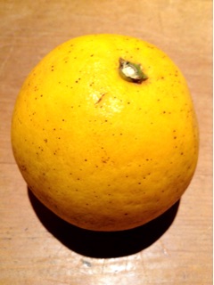 f:id:nil-cafe:20150328083105j:plain f:id:nil-cafe:20150328083105j:plain