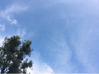 f:id:nil-cafe:20150412094758j:plain f:id:nil-cafe:20150412094758j:plain
