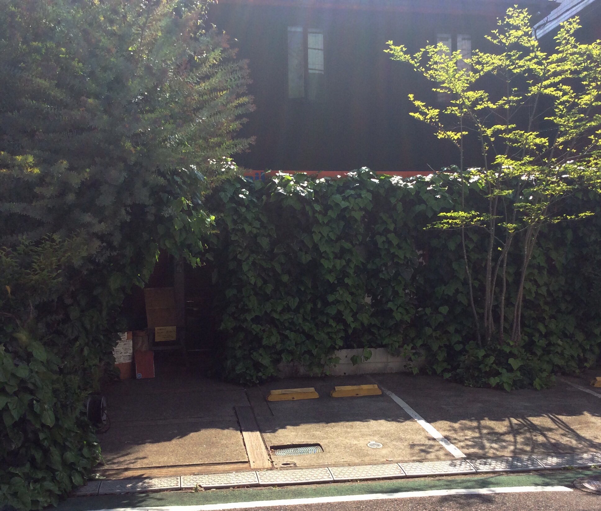 f:id:nil-cafe:20150427091535j:image f:id:nil-cafe:20150427091535j:image