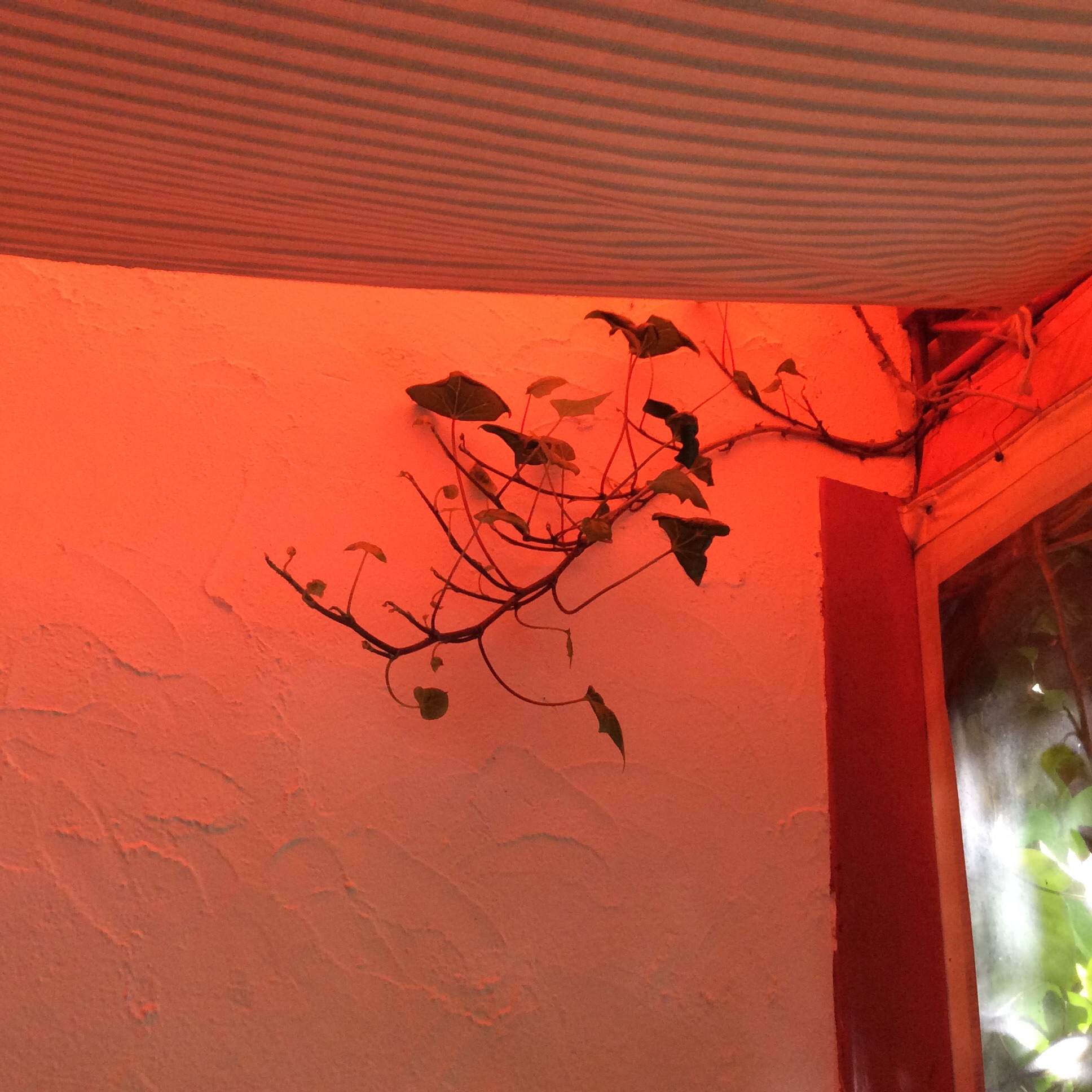 f:id:nil-cafe:20150501094216j:image f:id:nil-cafe:20150501094216j:image