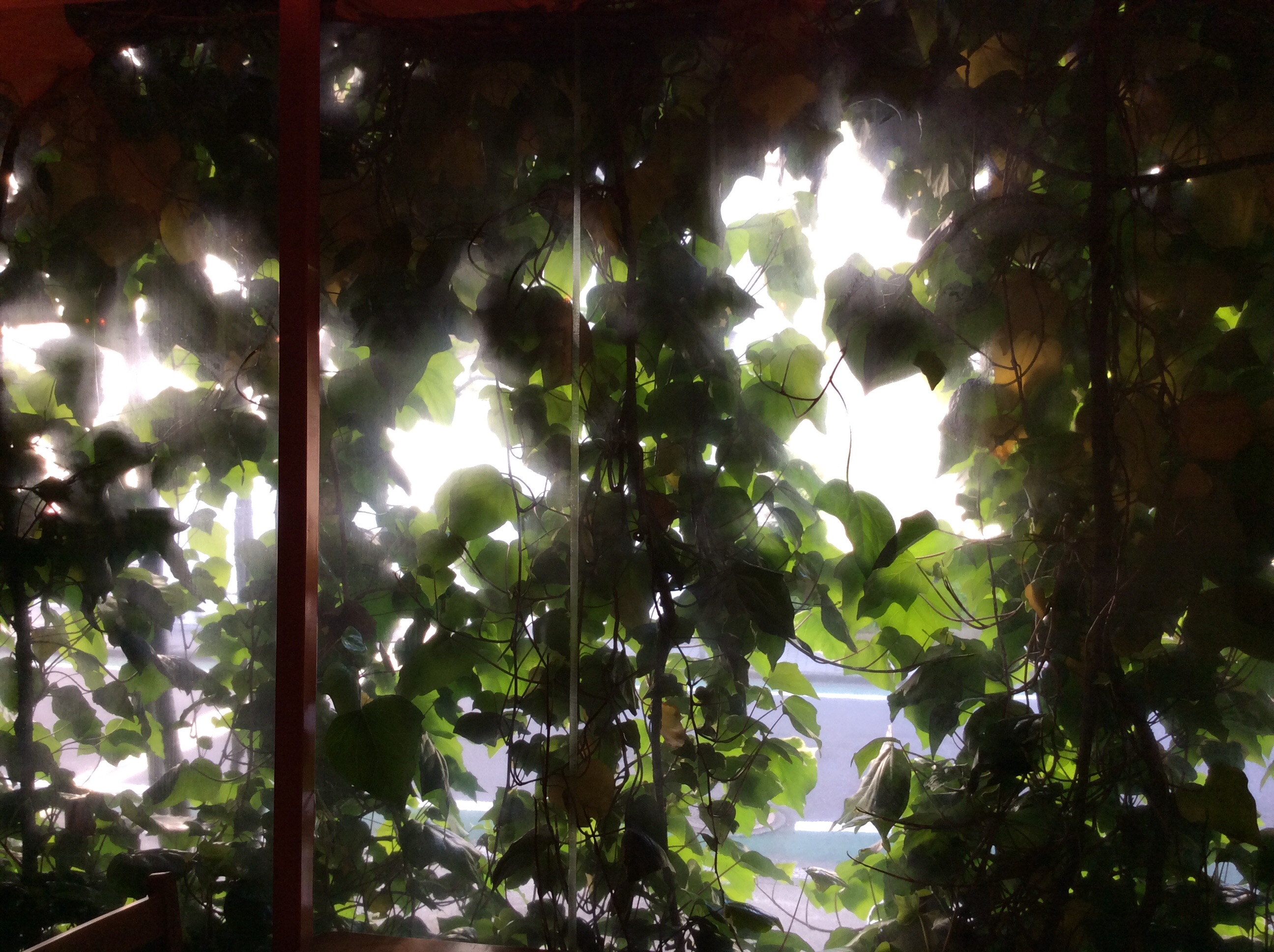 f:id:nil-cafe:20150501094232j:image f:id:nil-cafe:20150501094232j:image