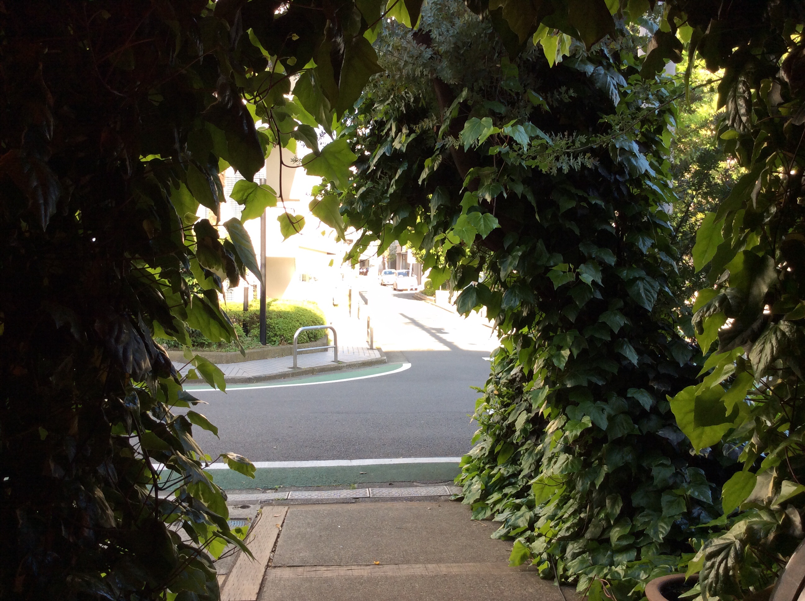 f:id:nil-cafe:20150501094757j:image f:id:nil-cafe:20150501094757j:image