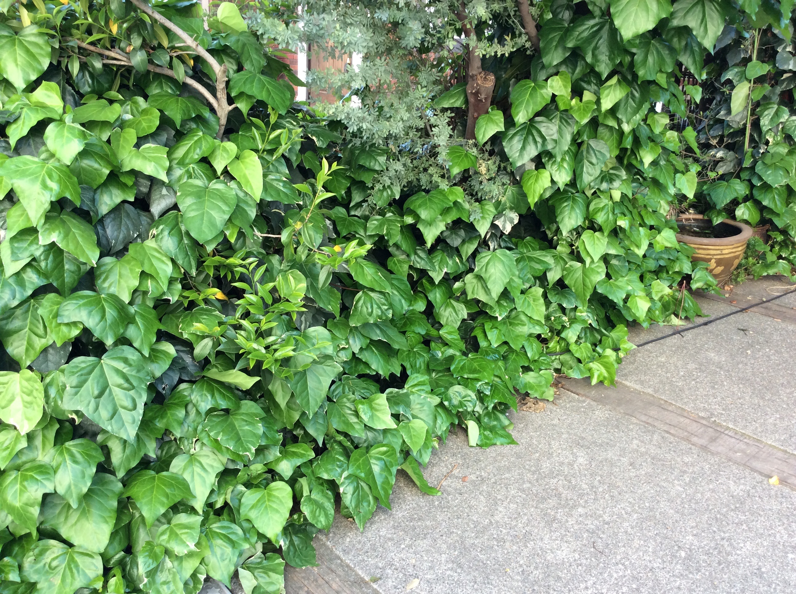 f:id:nil-cafe:20150501095353j:image f:id:nil-cafe:20150501095353j:image