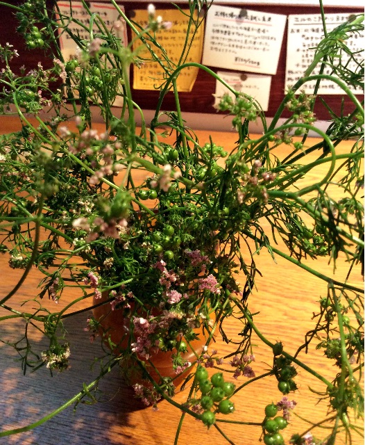 f:id:nil-cafe:20150623090251j:image f:id:nil-cafe:20150623090251j:image