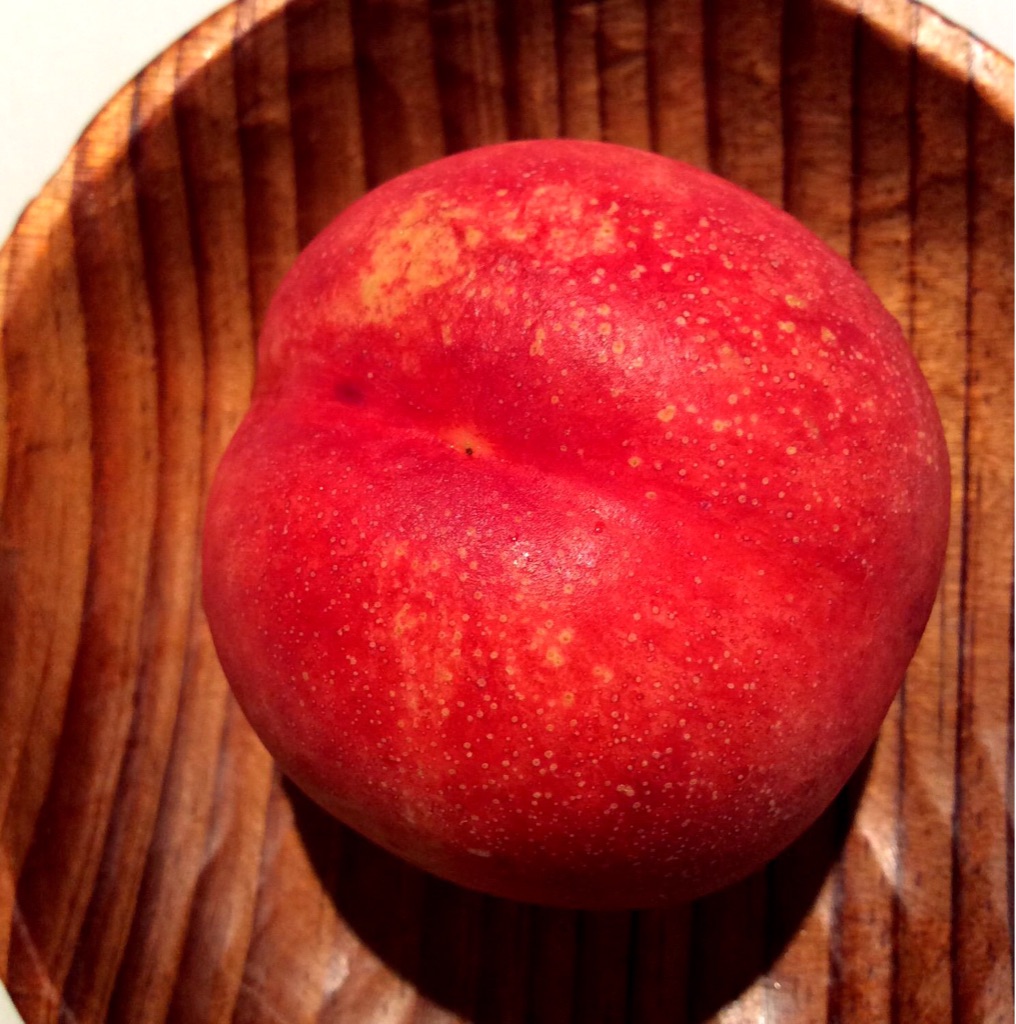 f:id:nil-cafe:20150730092500j:image f:id:nil-cafe:20150730092500j:image