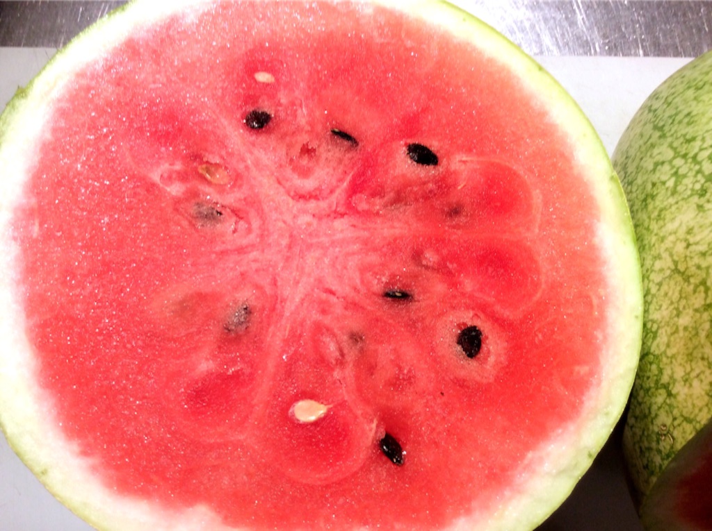 f:id:nil-cafe:20150828094236j:image f:id:nil-cafe:20150828094236j:image