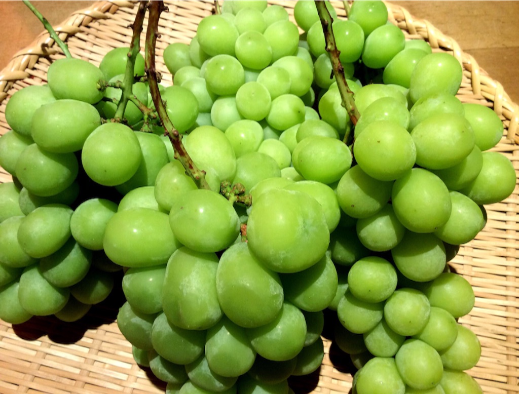 f:id:nil-cafe:20150910103116j:image f:id:nil-cafe:20150910103116j:image