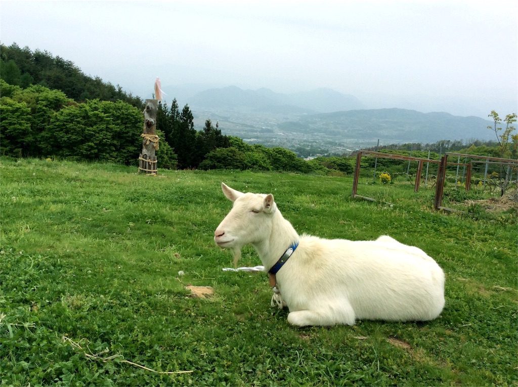 f:id:nil-cafe:20160511115155j:image f:id:nil-cafe:20160511115155j:image