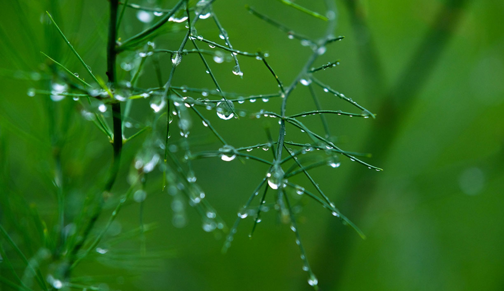 f:id:nil-fell:20150718165126j:plain