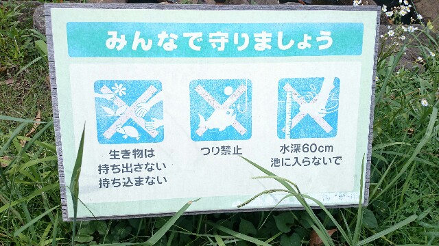 f:id:ningenkonpasu:20150726023856j:image f:id:ningenkonpasu:20150726023856j:image