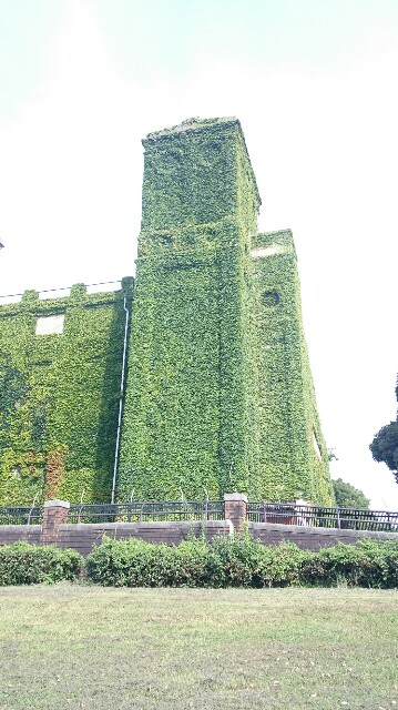 f:id:ningenkonpasu:20150726025339j:image f:id:ningenkonpasu:20150726025339j:image