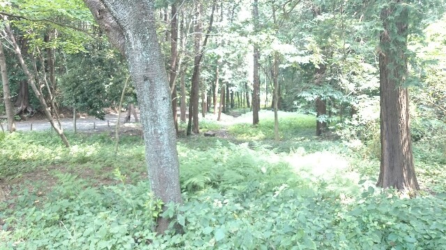 f:id:ningenkonpasu:20150730211704j:image f:id:ningenkonpasu:20150730211704j:image