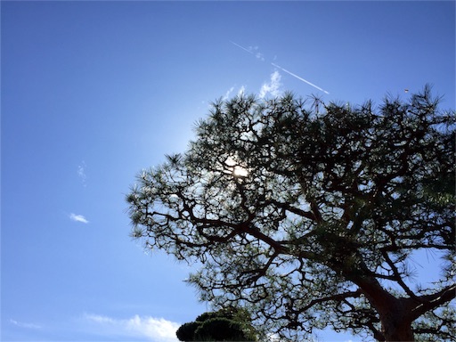 f:id:ninninneet:20151001203515j:image f:id:ninninneet:20151001203515j:image