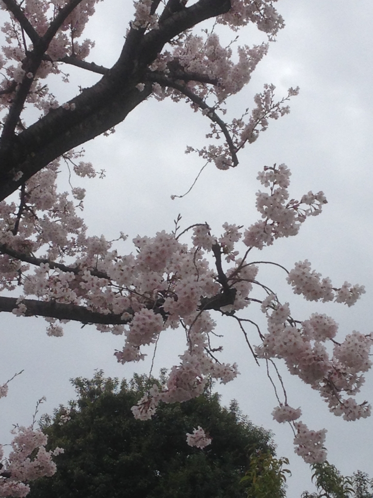 f:id:nishikino3:20160404000926j:plain f:id:nishikino3:20160404000926j:plain