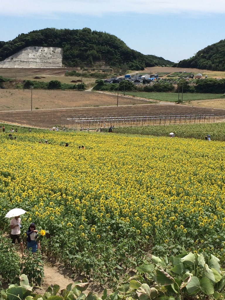 f:id:nishimikawa:20150812142220j:image f:id:nishimikawa:20150812142220j:image