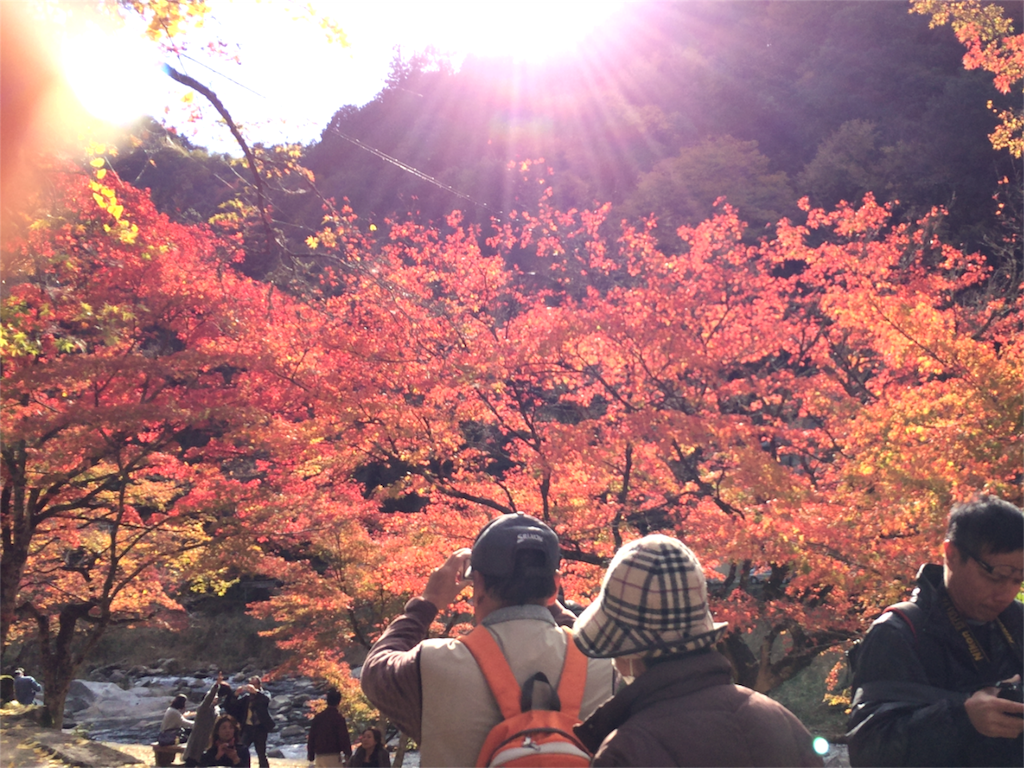 f:id:nishimikawa:20151013131547p:image f:id:nishimikawa:20151013131547p:image