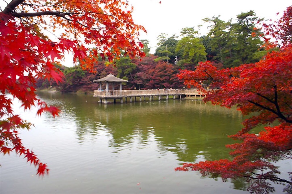 f:id:nishimikawa:20151015034733j:image f:id:nishimikawa:20151015034733j:image