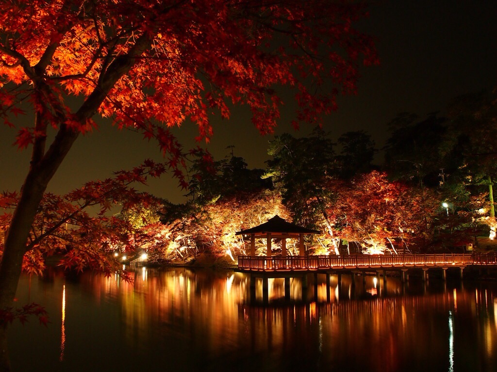 f:id:nishimikawa:20151015034744j:image f:id:nishimikawa:20151015034744j:image