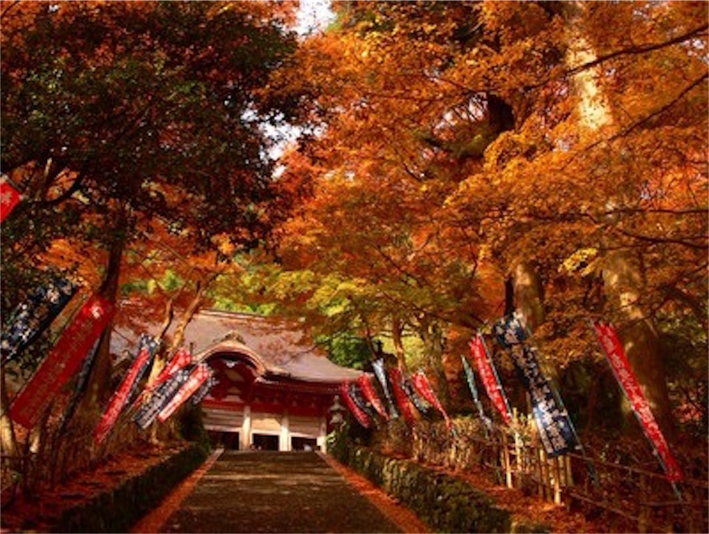 f:id:nishimikawa:20151028141552j:image f:id:nishimikawa:20151028141552j:image