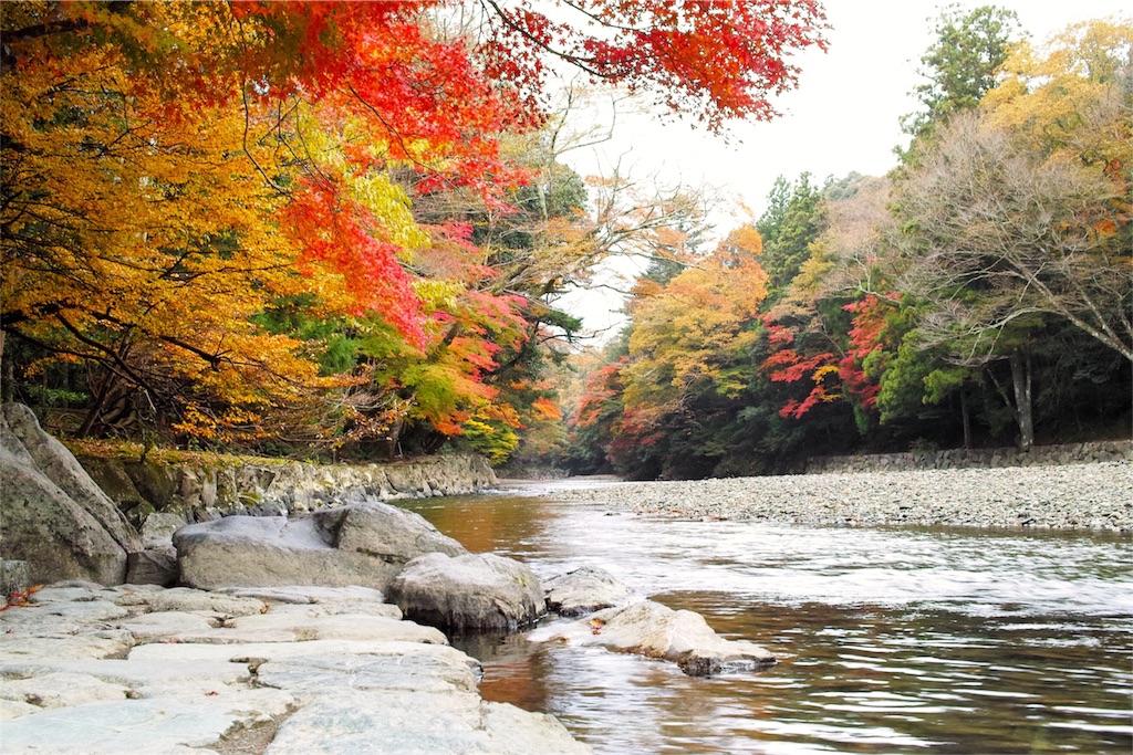 f:id:nishimikawa:20151028145616j:image f:id:nishimikawa:20151028145616j:image