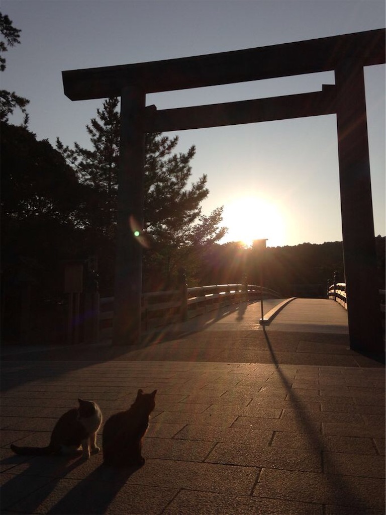 f:id:nishimikawa:20151028145632j:image f:id:nishimikawa:20151028145632j:image