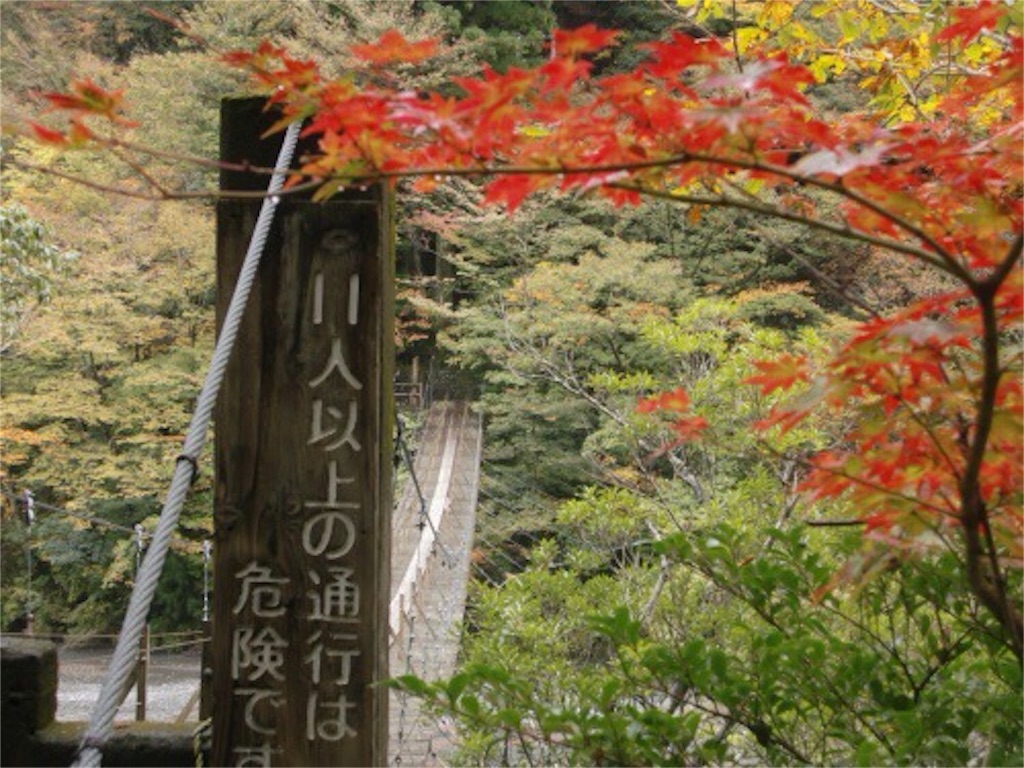 f:id:nishimikawa:20151029120939j:image f:id:nishimikawa:20151029120939j:image