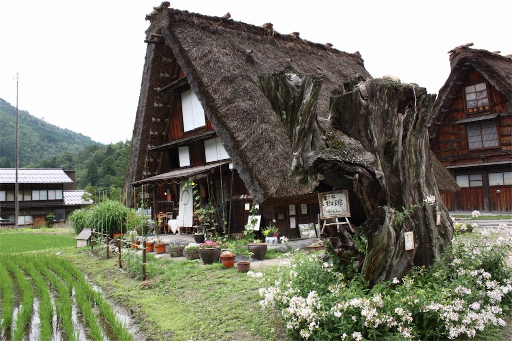 f:id:nishimikawa:20151029201504j:image f:id:nishimikawa:20151029201504j:image