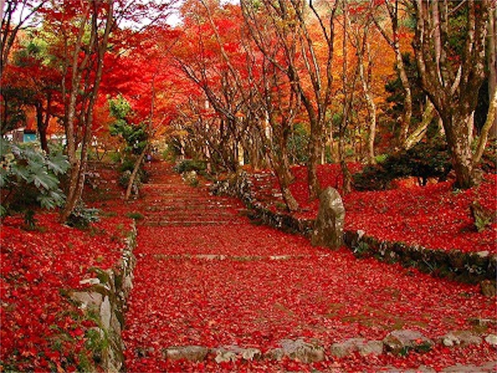 f:id:nishimikawa:20151103073605j:image f:id:nishimikawa:20151103073605j:image